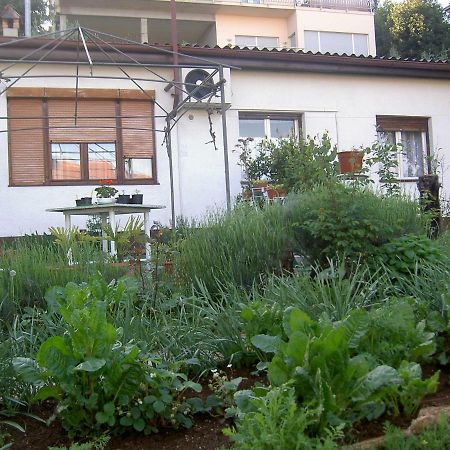 Apartman Thea Appartamento Abbazia Esterno foto