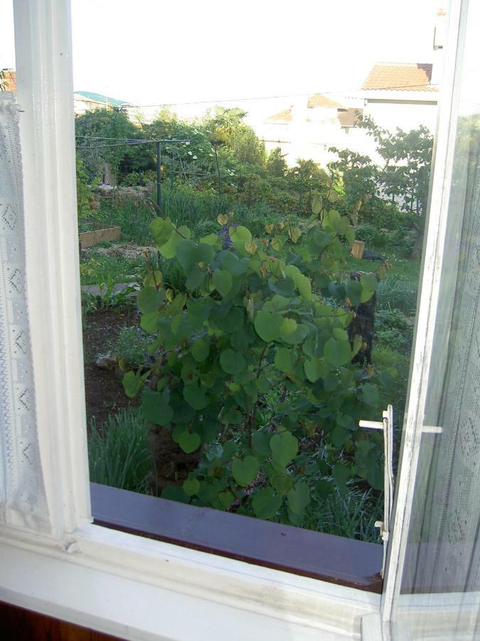 Apartman Thea Appartamento Abbazia Esterno foto