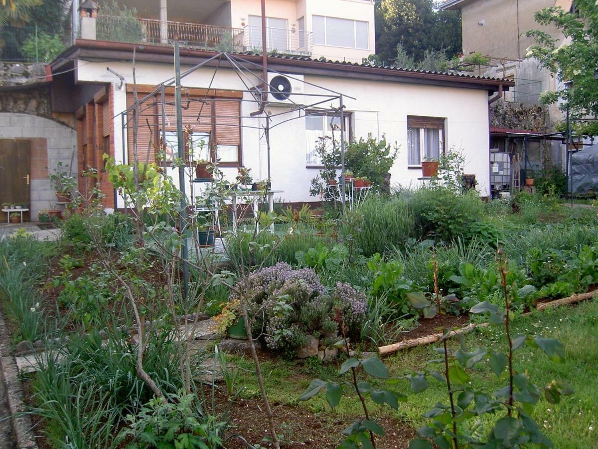 Apartman Thea Appartamento Abbazia Esterno foto